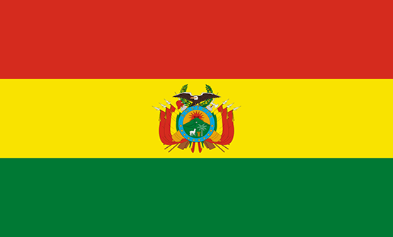 بوليفيا flag