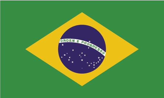 البرازيل flag