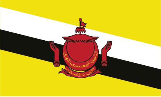 بروناي flag