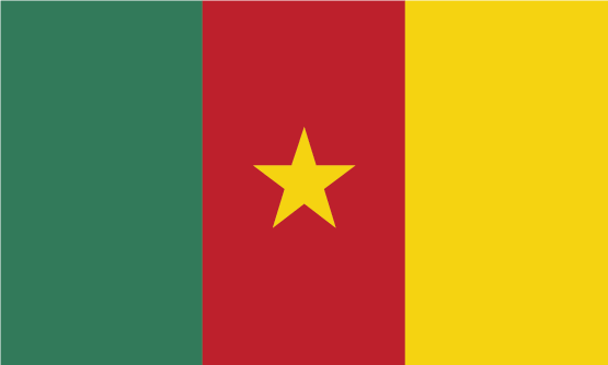 الكاميرون flag