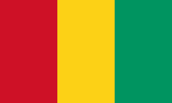 غينيا flag