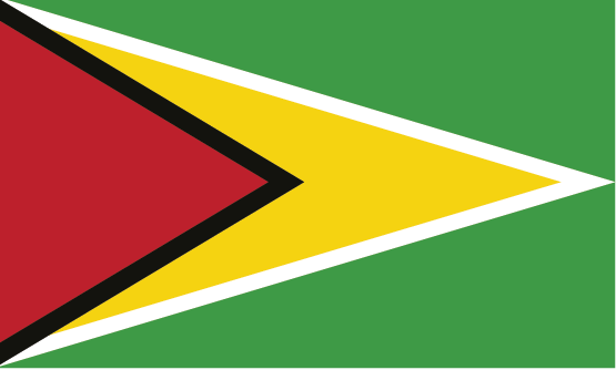 غيانا flag