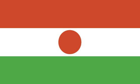 النيجر flag